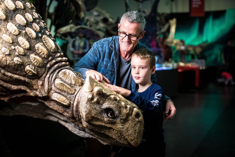 Dinosnore 2019