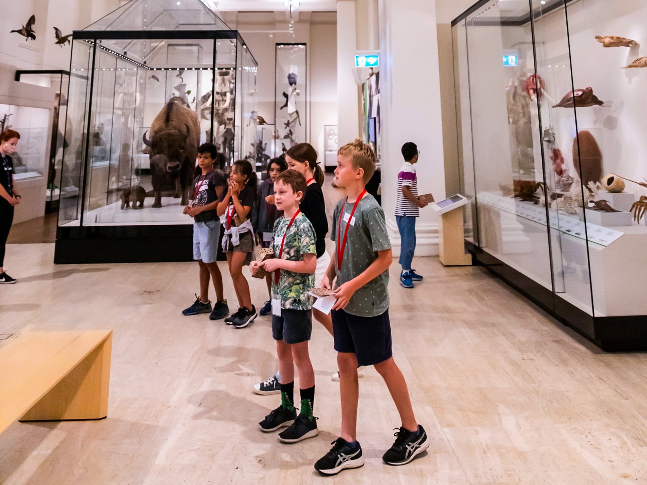 Scientist for a Day Palaeontologist - 21 January 2021