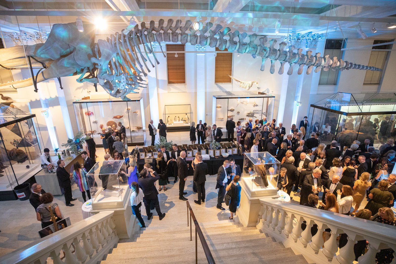 2019 Gala Dinner