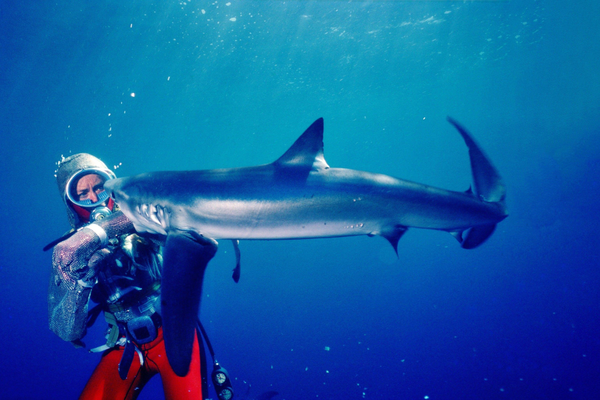 Valerie Taylor being bitten on the arm by a shark in a still from Playing With Sharks: The Valerie Taylor Story (1982).