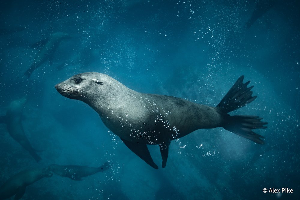 Checking me out by Alex Pike, Australian Capital Territory