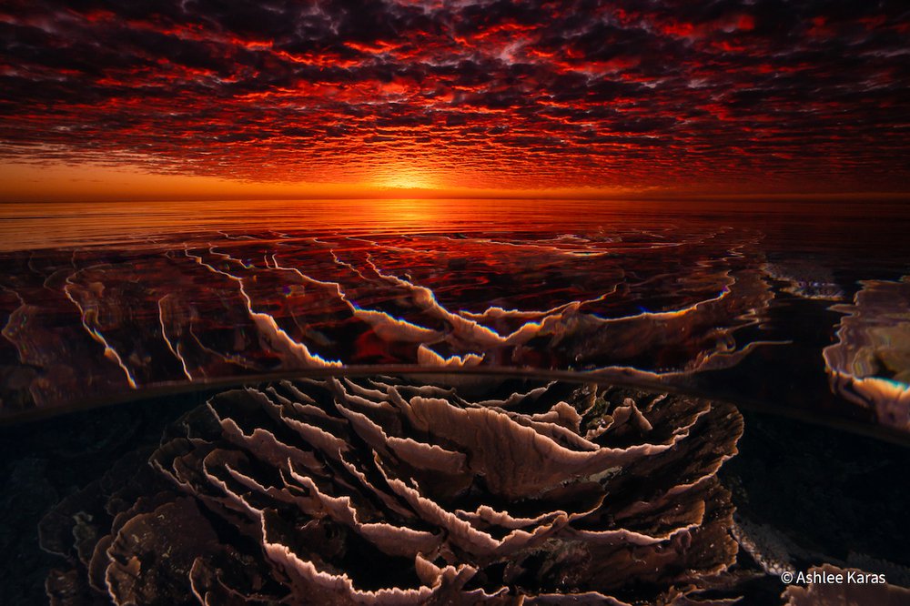 Beneath the Surface by Ashlee Karas, Western Australia