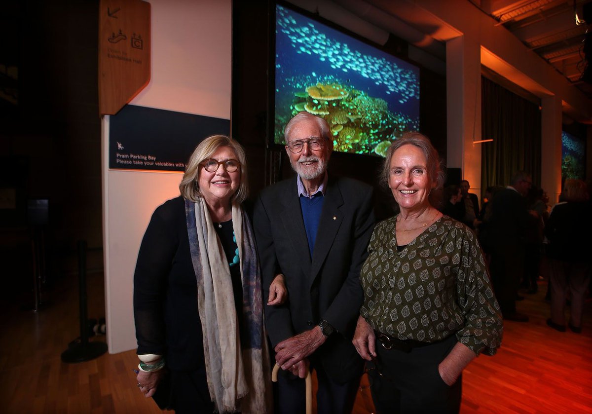 From the Director: Coral reefs in hot water - The Australian Museum Blog