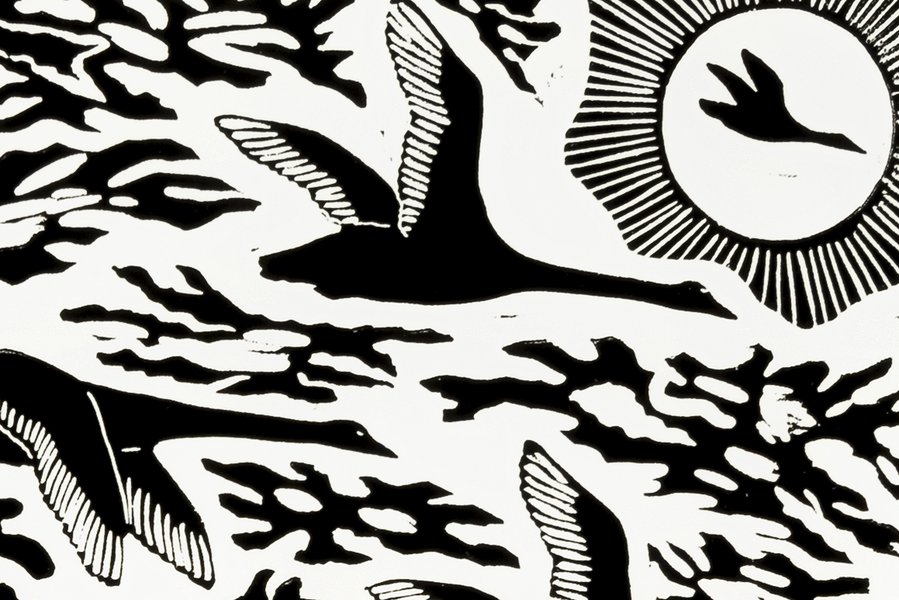 Print 'Life Coming Back to Moon Lake', paper, Badger Bates, New South Wales, Australia