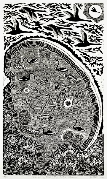 Print 'Life Coming Back to Moon Lake', paper, Badger Bates, New South Wales, Australia
