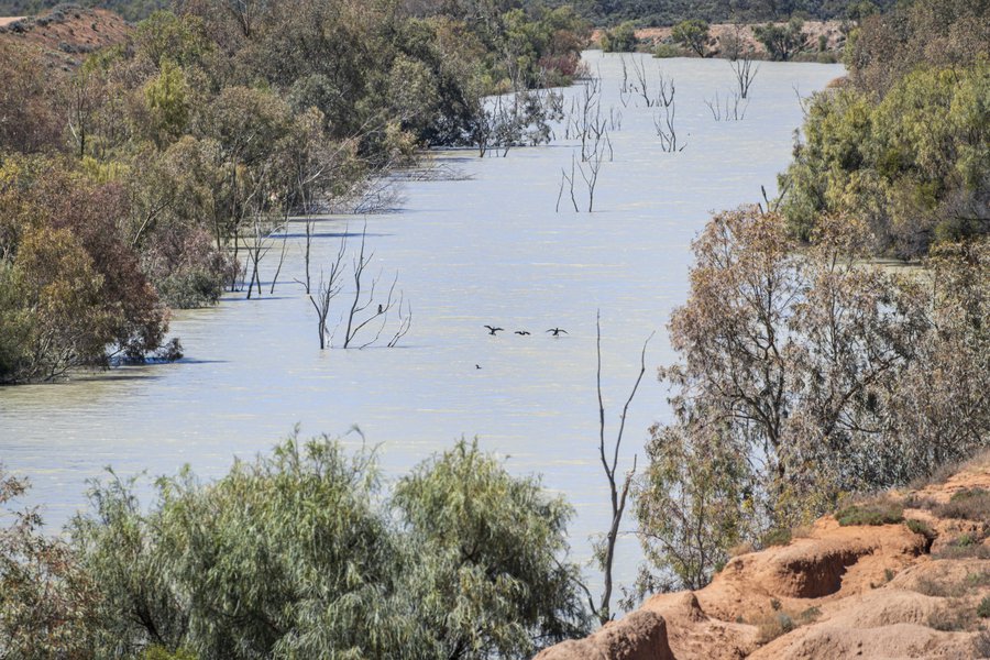 Barka - Cawndilla outlet - 8 December 2022