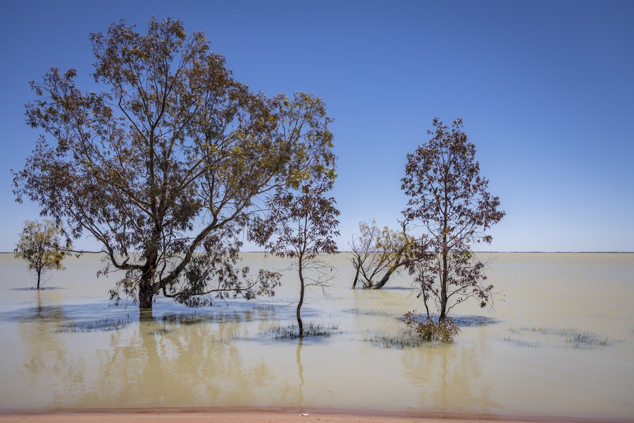 Barka - Lake Cawndilla shoreline - 8 December 2022