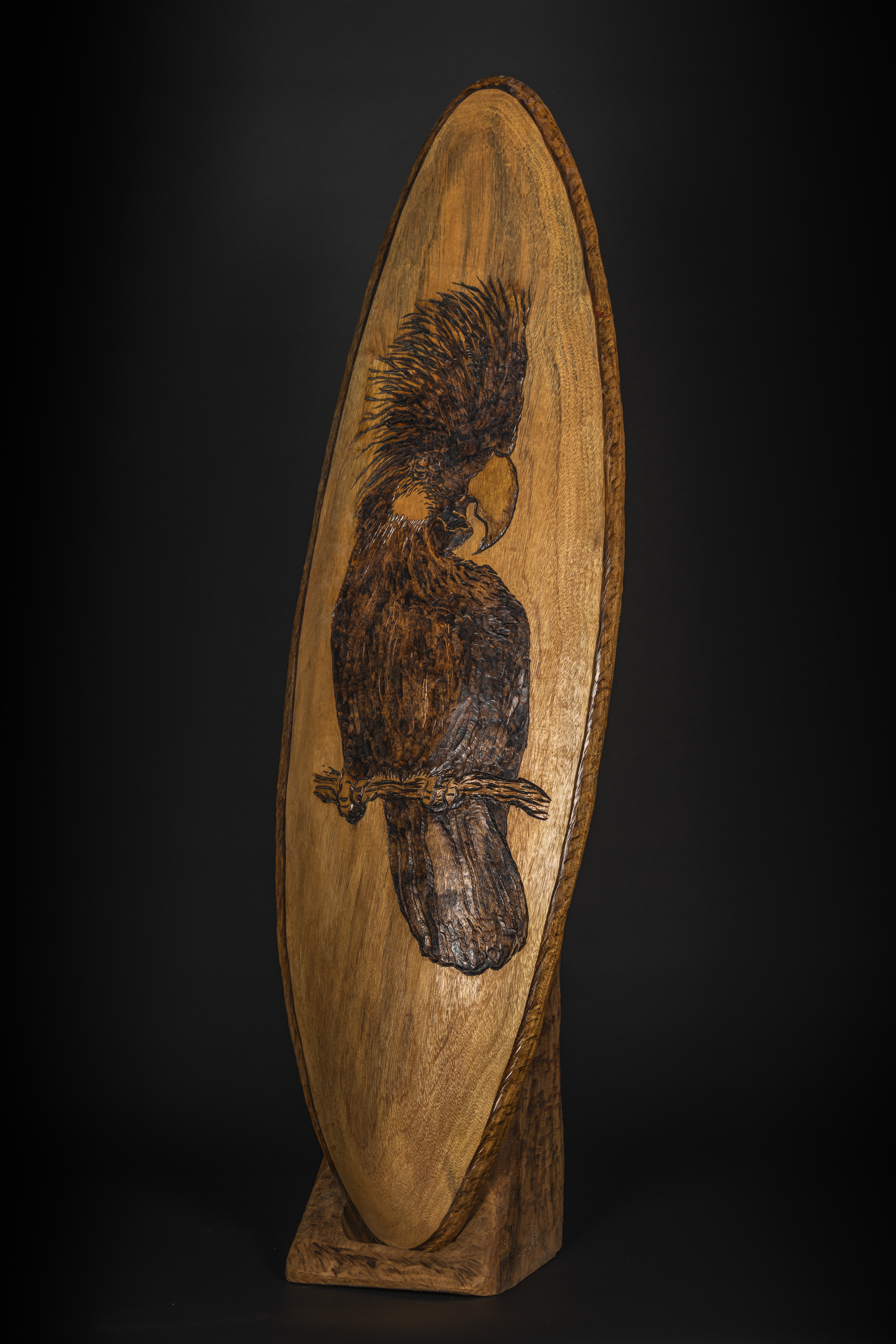 Black Cockatoo Shield