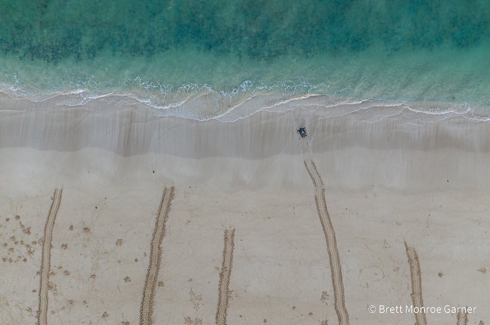 Turtle Tracks by Brett Monroe Garner, Western Australia