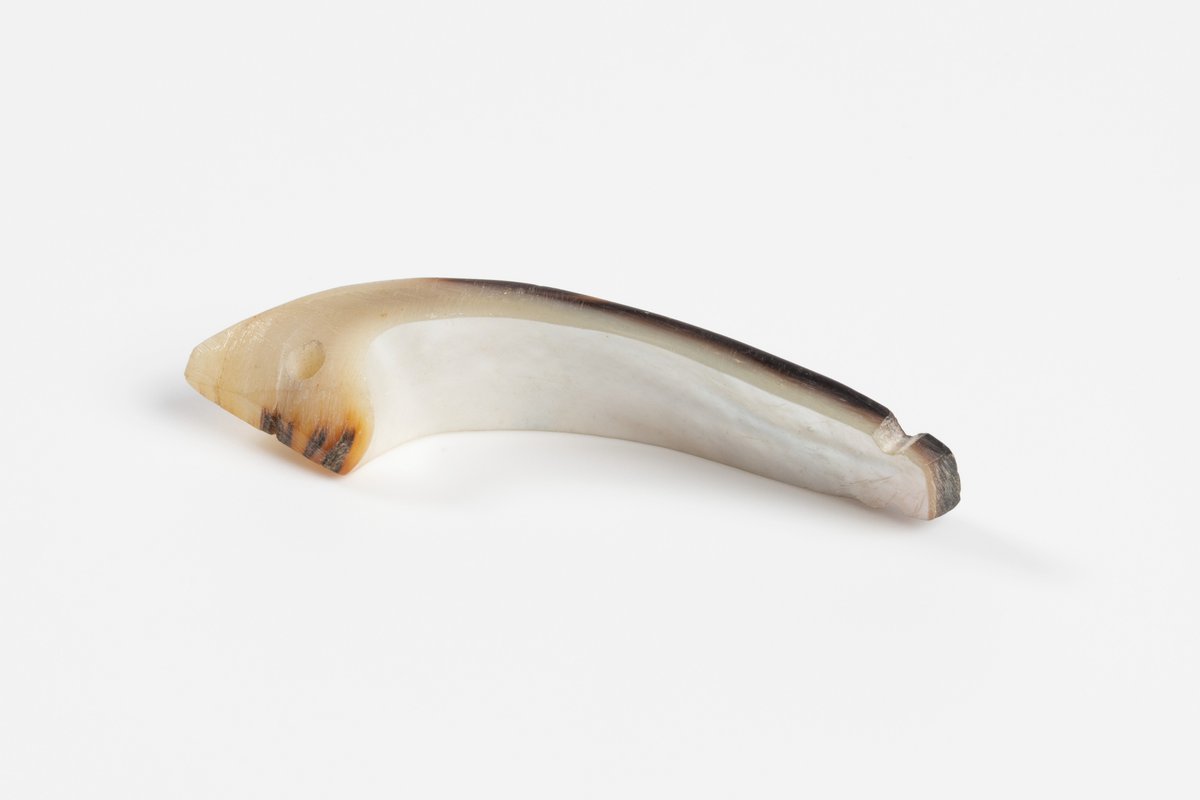 Niuean fish hooks The Australian Museum