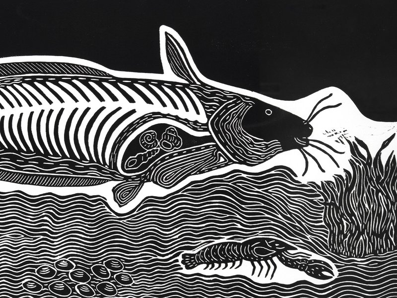 Print, 'No More Catfish', paper, Badger Bates, 2004, New South Wales, Australia