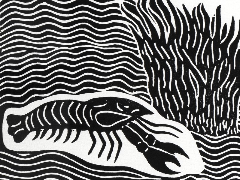 Print, 'No More Catfish', paper, Badger Bates, 2004, New South Wales, Australia