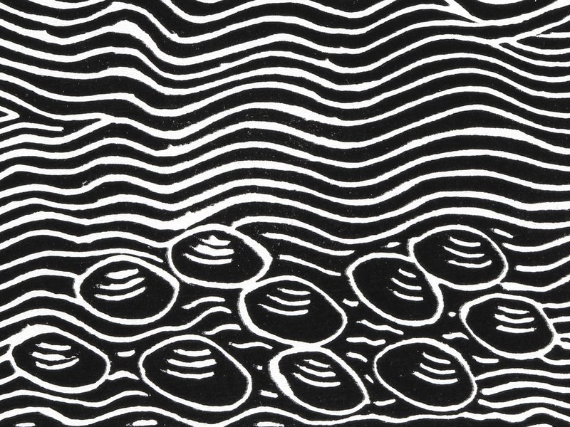 Print, 'No More Catfish', paper, Badger Bates, 2004, New South Wales, Australia