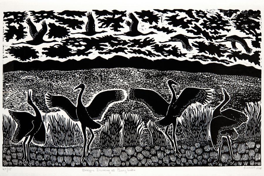 Print, 'Brolgas Dancing at Peery Lake', paper, Badger Bates, 2008, New South Wales, Australia