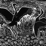 Print, 'Brolgas Dancing at Peery Lake', paper, Badger Bates, 2008, New South Wales, Australia. (Cropped).