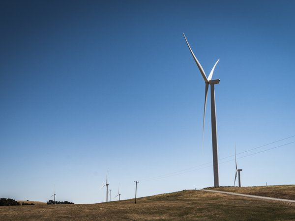 Charlie Prell - Sheep Grazier and Energy Farmer
