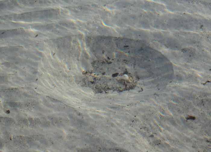 Crater in the sand