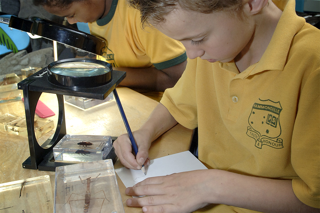 Boy with magnifying glass and specimens