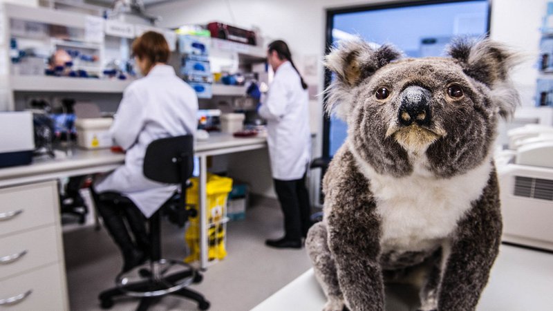 Scientist for a Day: Wildlife Geneticist