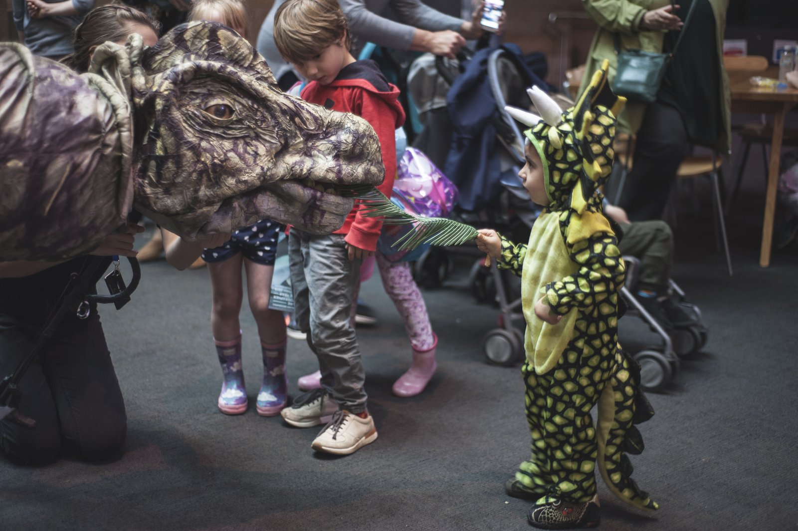 Dinosaur Festival 2018