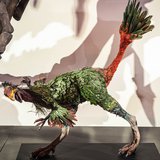 This feathered dinosaur called Caudipteryx zoui belongs to the same group of theropods related to modern birds.