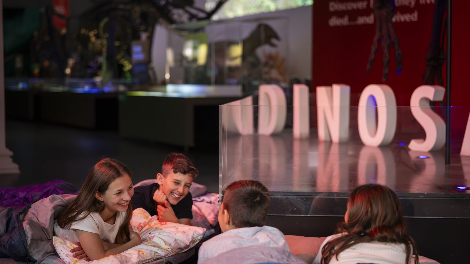 Dinosnore Marketing photoshoot - 16 June 2023