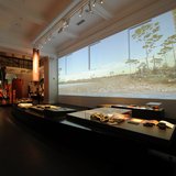 Projected on the wall is a reconstruction of a scene based on scientific interpretations of a fossil trackway found in Winton in the 1960s.