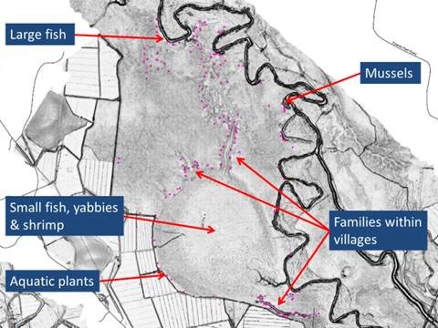 This month in Archaeology: Aboriginal heritage as ecological proxy in ...