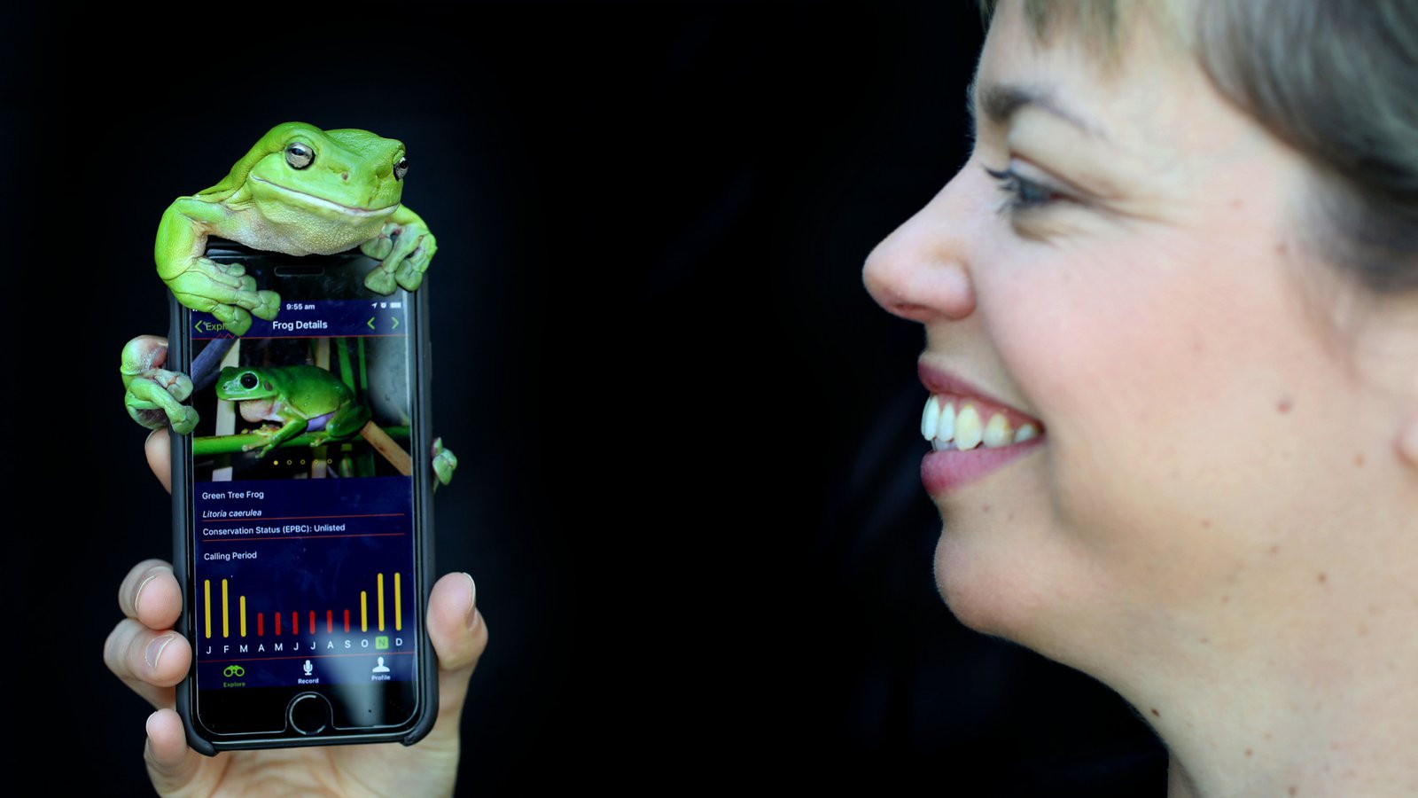 FrogID - development use