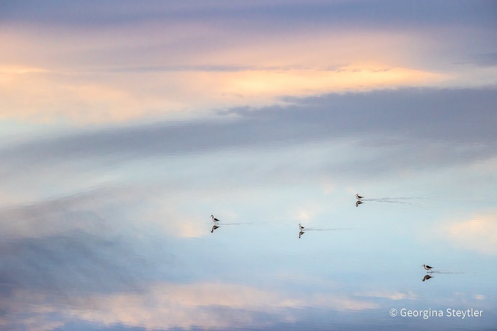Stilted Reflections by Georgina Steytler, Western Australia