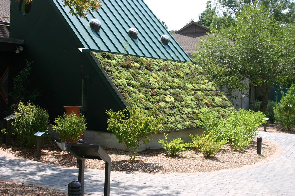 Green Roof