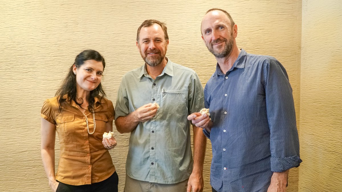 Solomon Islands archipelago The Australian Museum Blog