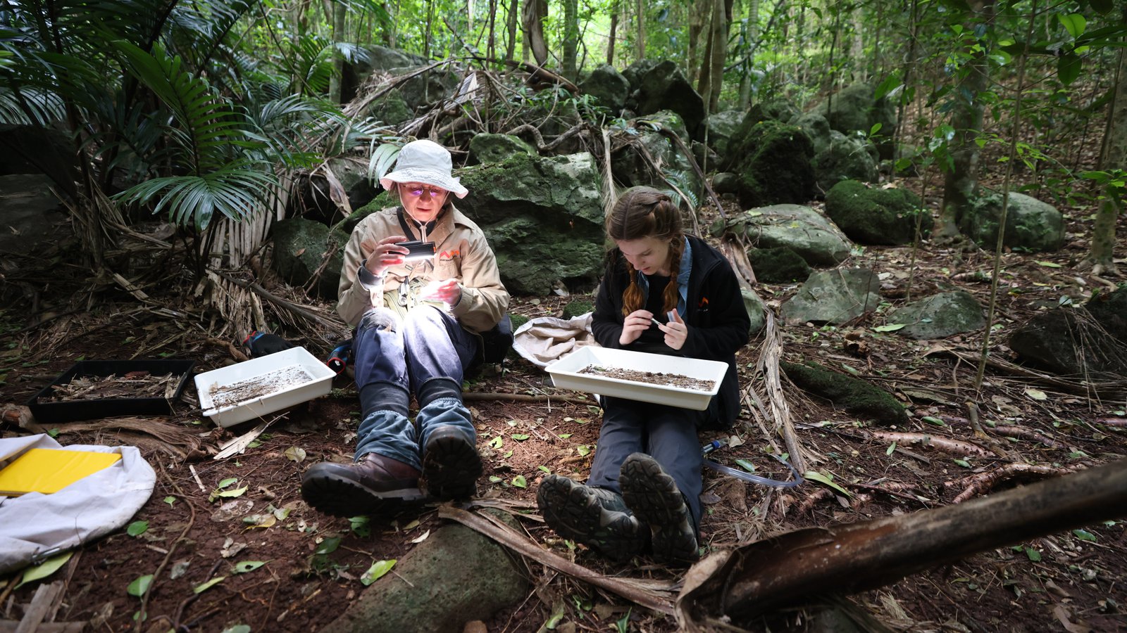 Norfolk Island - development use