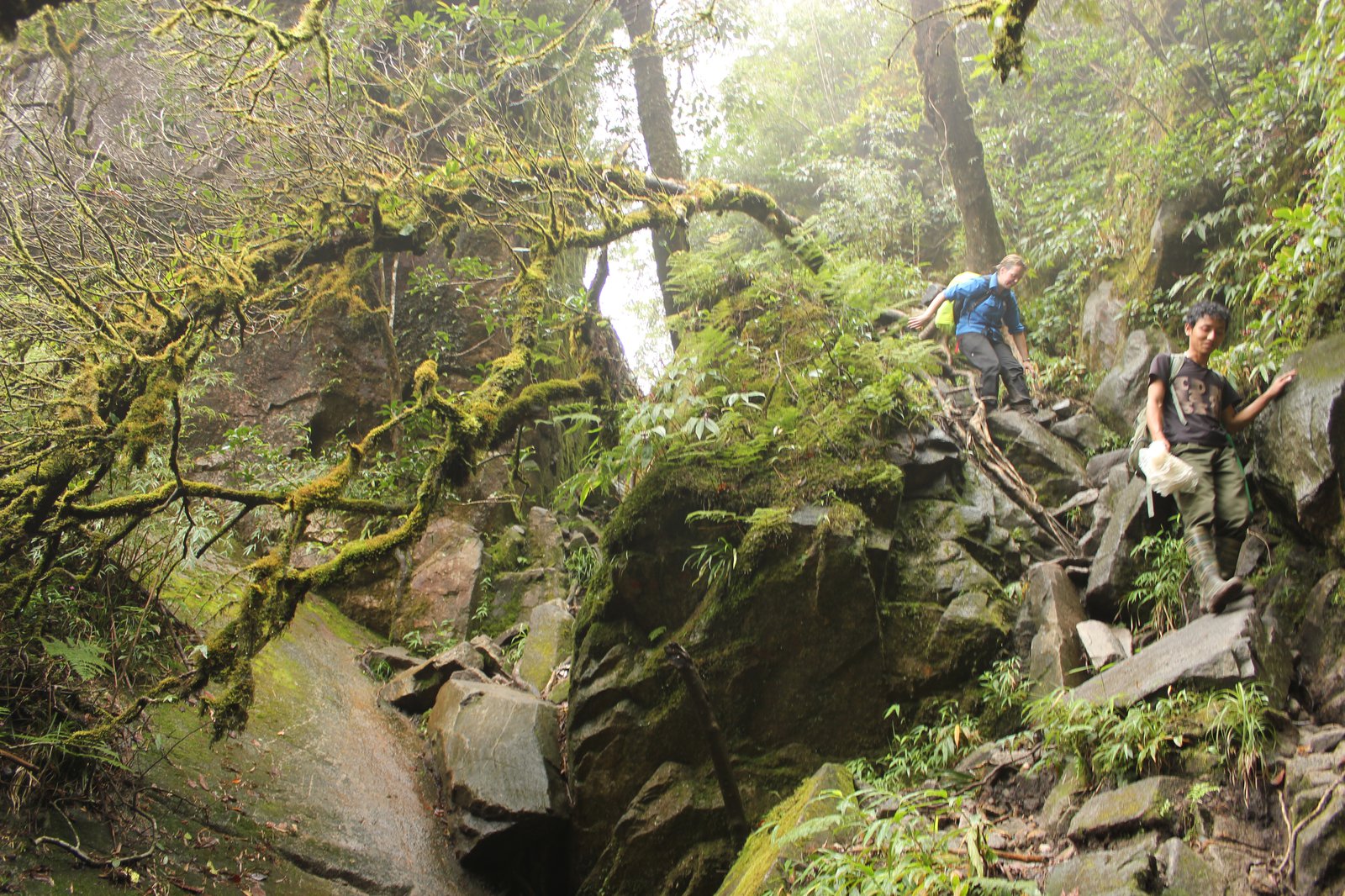 Fieldwork in the Hoang Lien Range