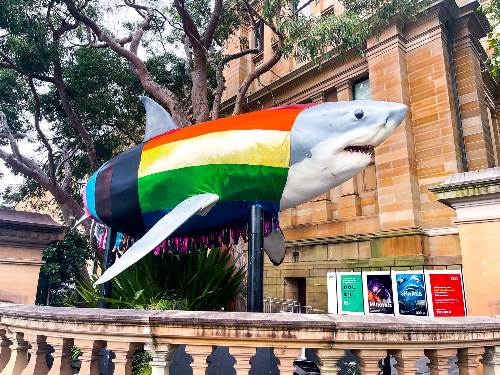 Progress Shark - World Pride Feb 2023