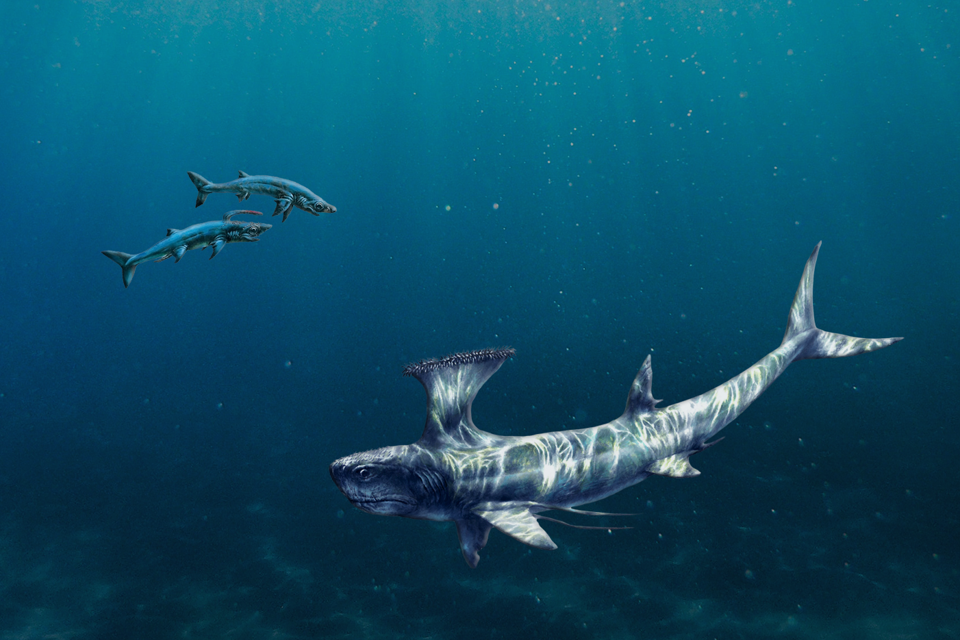 The ancient ones - The Australian Museum