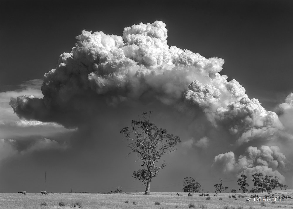 Incoming by Jeff Freestone, Victoria