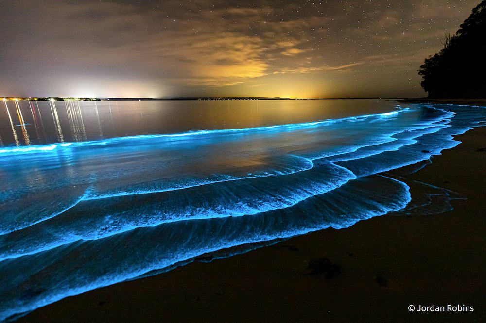 Bioluminescent Shores by Jordan Robins, New South Wales