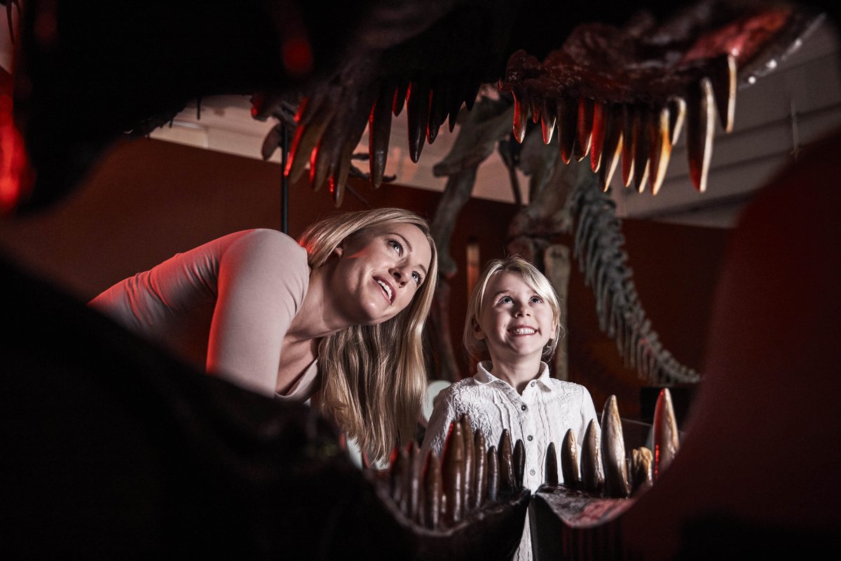 Dinosaurs
