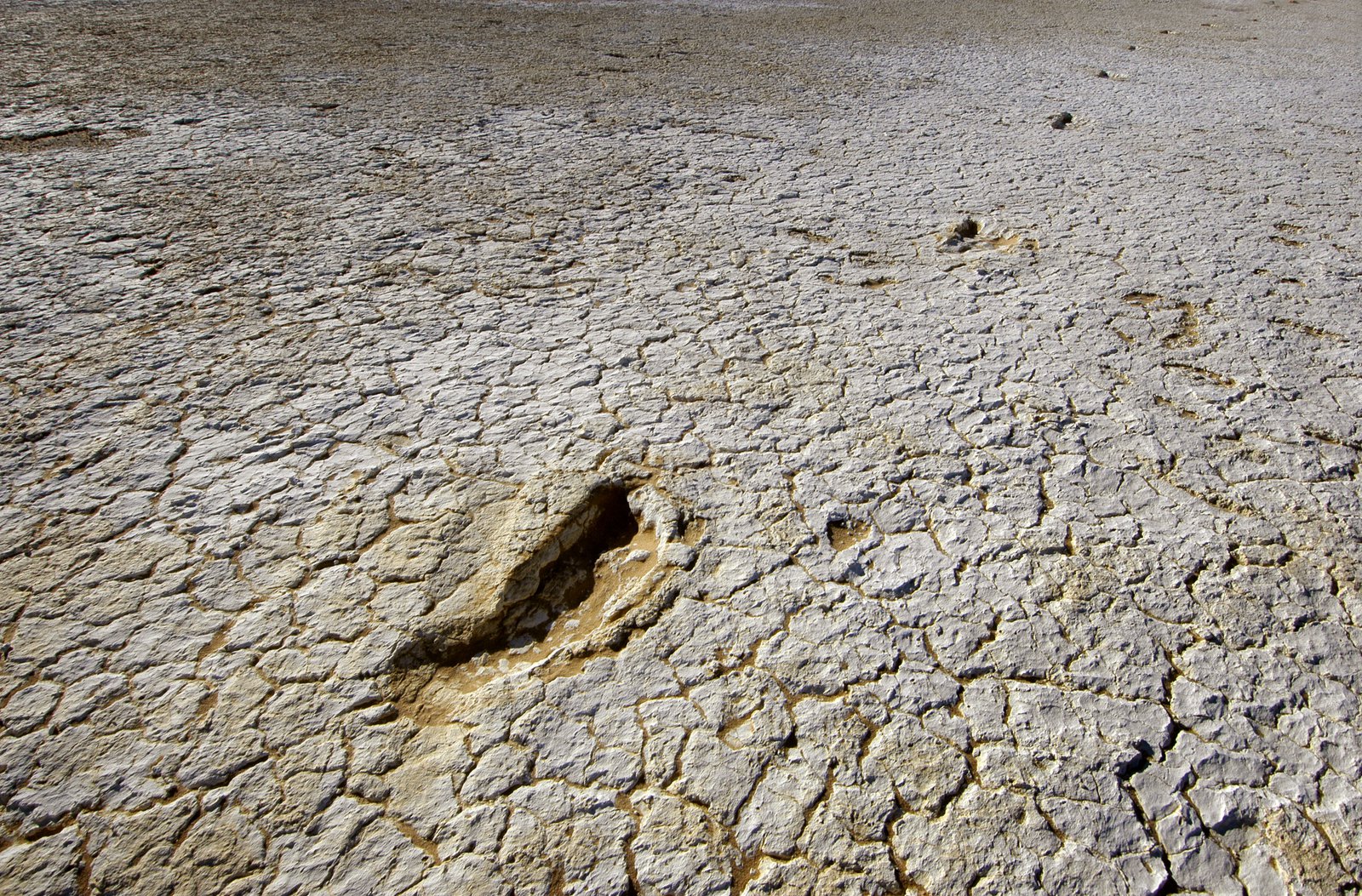 Near Lake Mungo