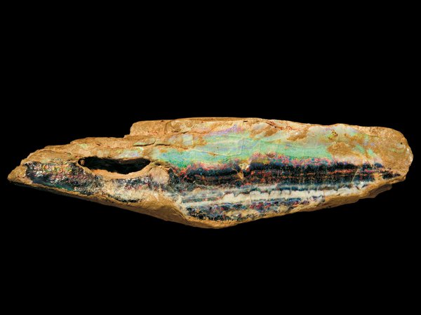 Painted Lady opal on quartzite_D-44306