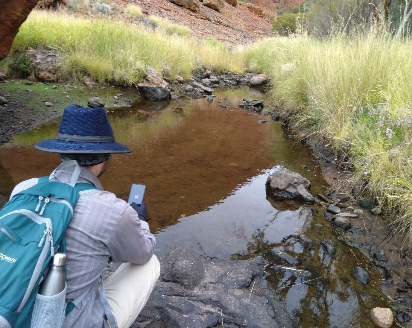 A FrogID user recording at a desert water hole.