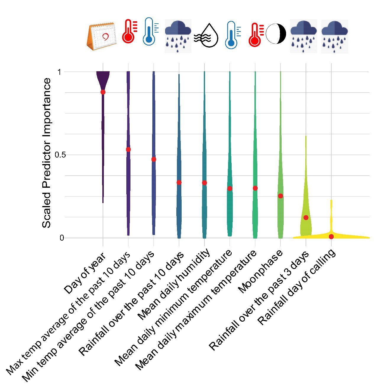 Summary of our results – when we looked at what signals frogs use to decide it’s time to breed, we found day of year was most influential, followed by recent (10 day) weather patterns.