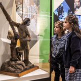 Monkeys have numerous adaptations that help them thrive in different environments. There are over 250 different monkey species, with a variety of shapes and sizes, and many of them live in trees.