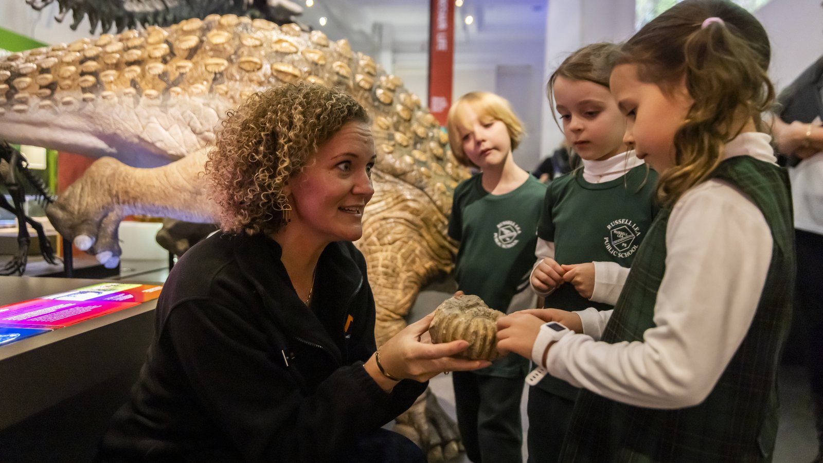 Primary school excursion to Dinosaurs - Development
