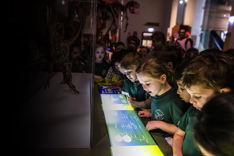Book school excursions at the Australian Museum