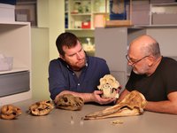 Professor Kris Helgen & Professor Tim Flannery