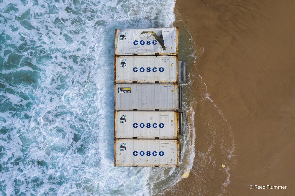 COSCO by Reed Plummer, New South Wales
