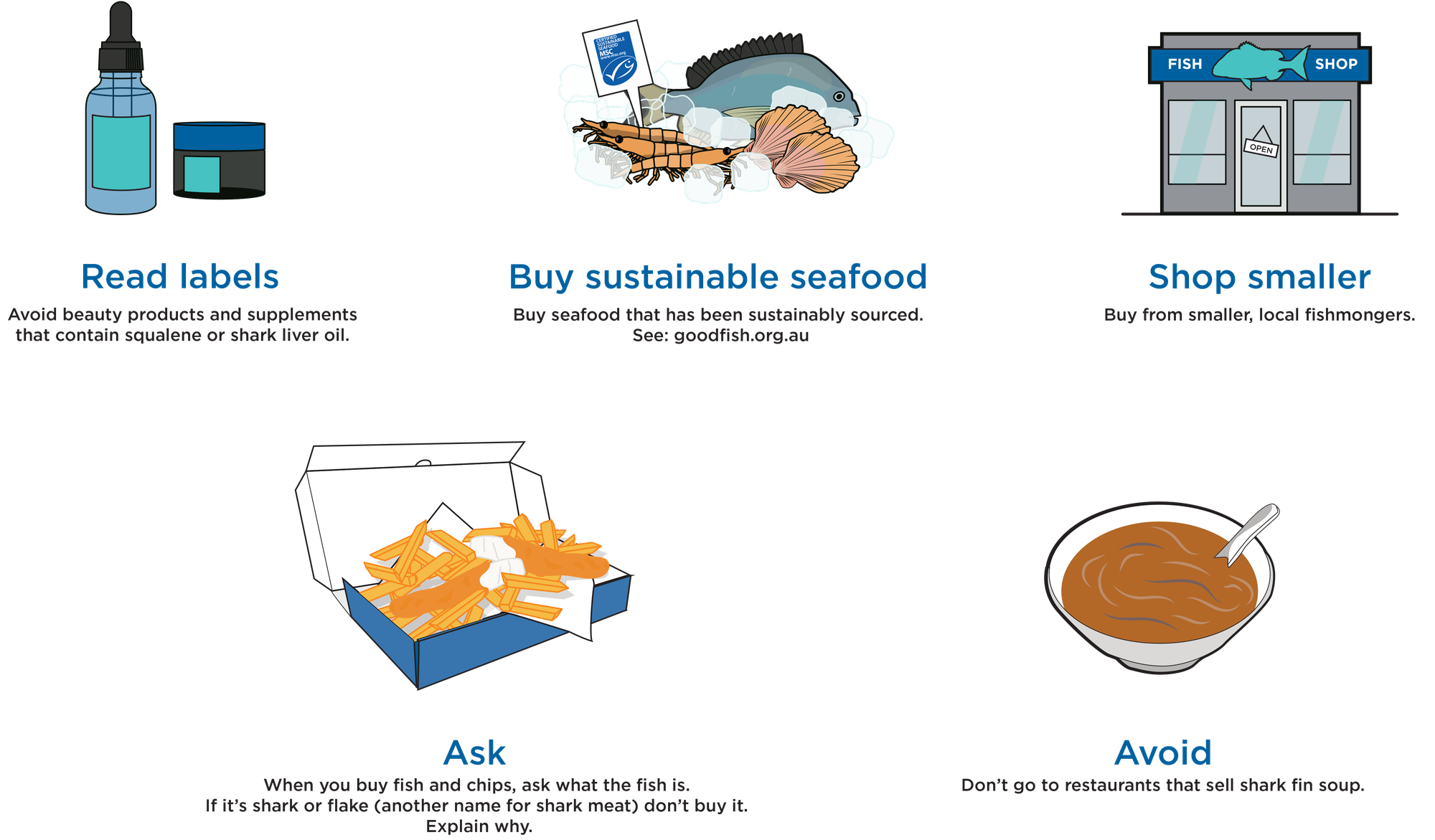 Saving Sharks The Australian Museum