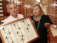 Australian Museum director Kim McKay